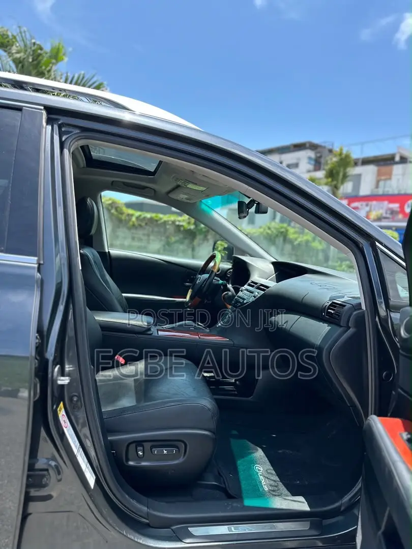 Lexus RX 350 2010 Gray