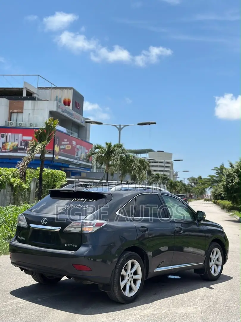 Lexus RX 350 2010 Gray