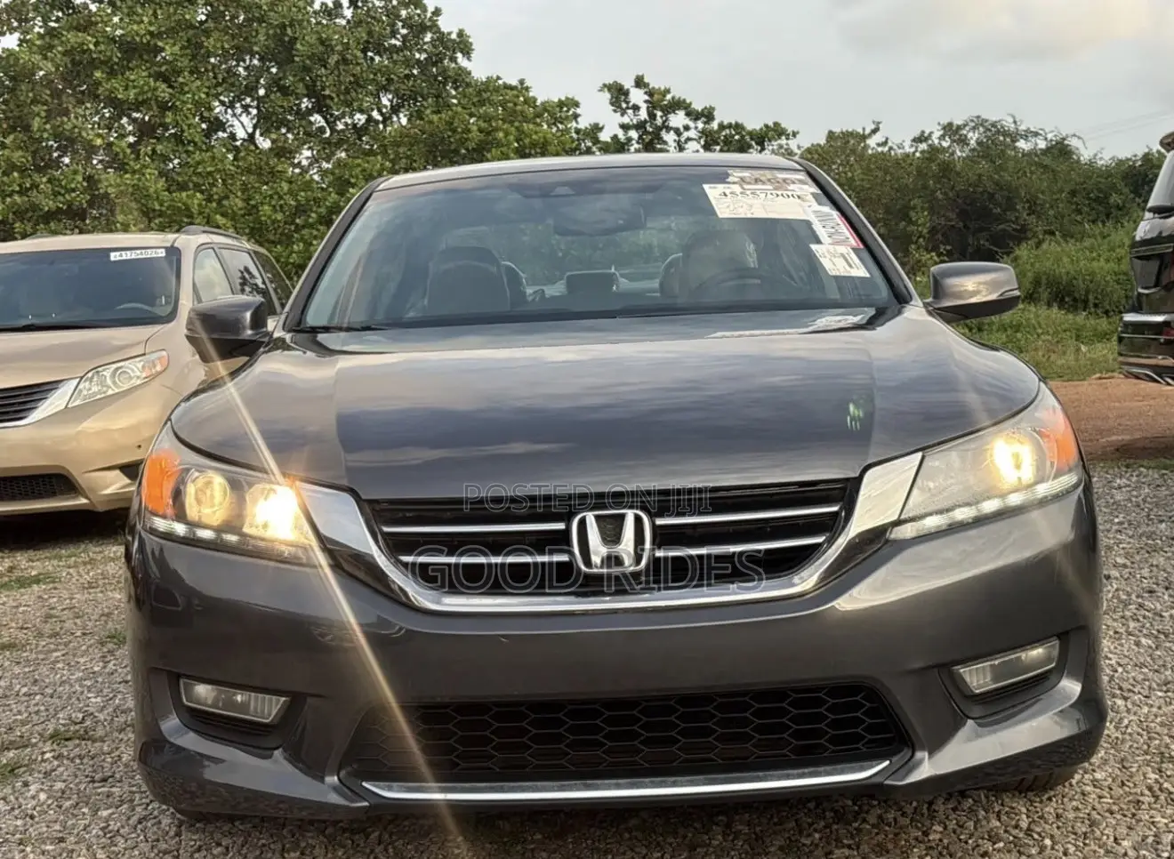 Honda Accord EX-L V-6 4dr Sedan (3.5L 6cyl 6A) 2014 Green