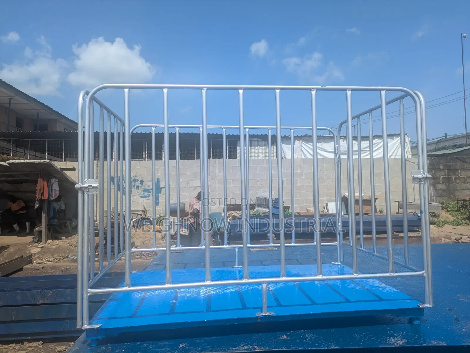 Weighnow Cattle Scale