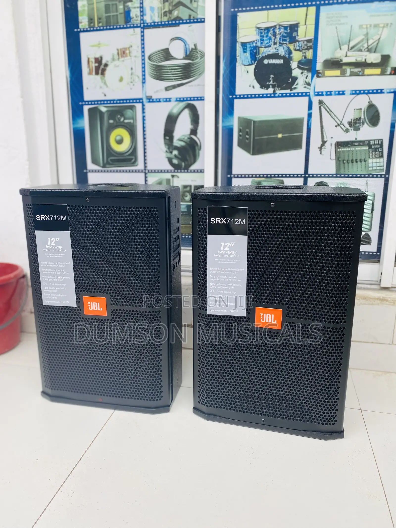 12 Inches JBL Hanging Speaker Big Magnet