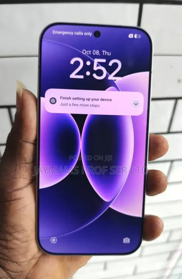 Xiaomi 17 Pro 512 GB Gray