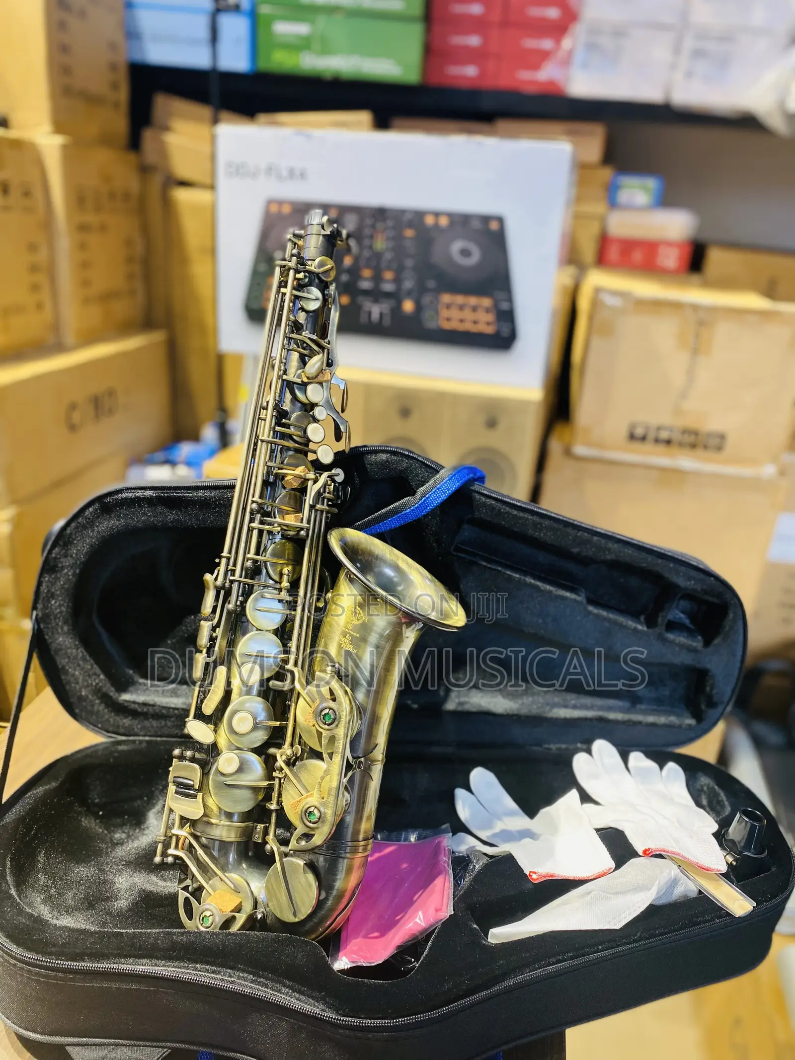Selmer Bronze Alto Saxophone
