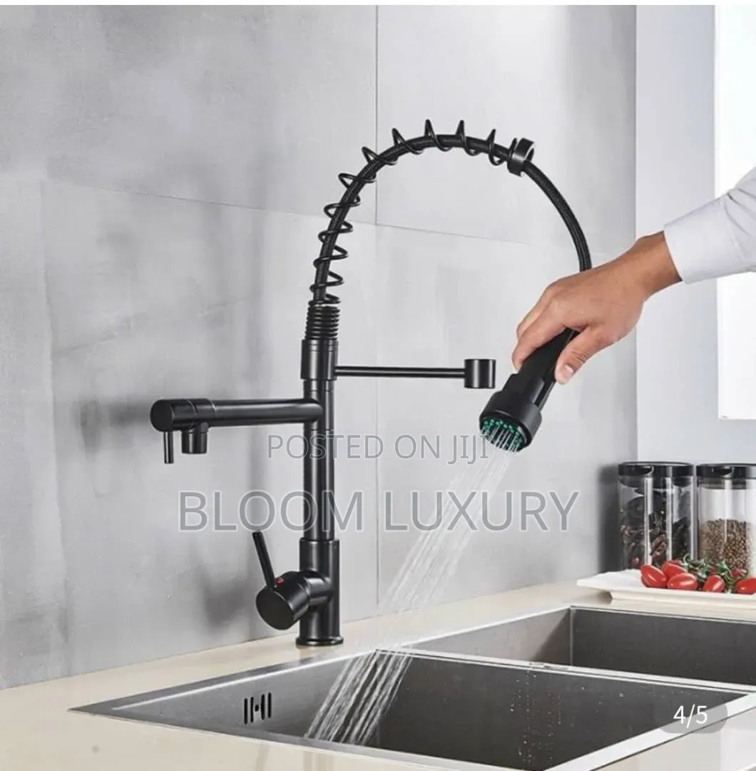 Chrome/Black Double Kitchen Faucet