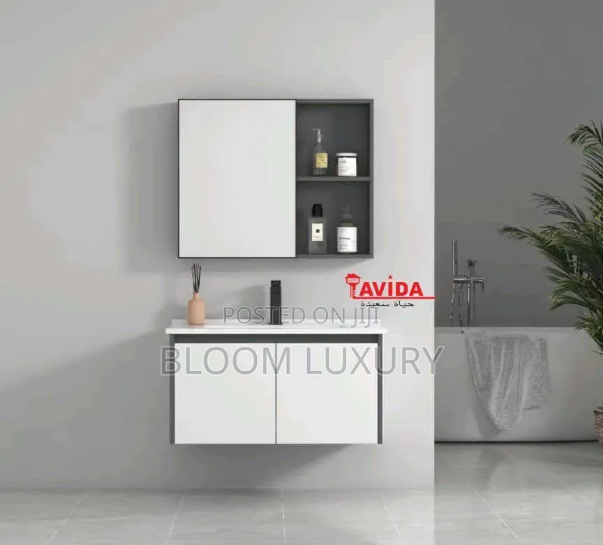 Latest Designs Bathroom Cabinet With Mirror