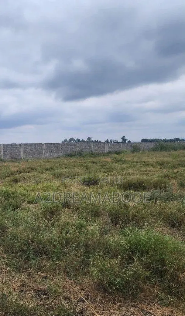 Nicely Situated Estate Land