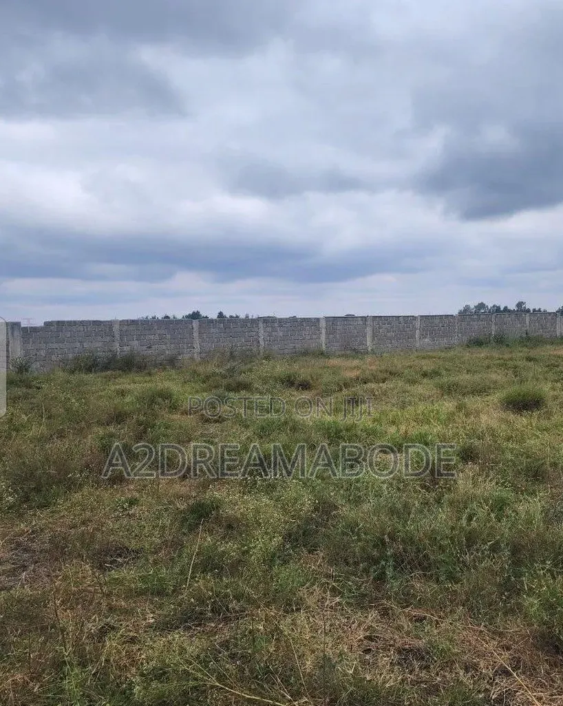 Nicely Situated Estate Land