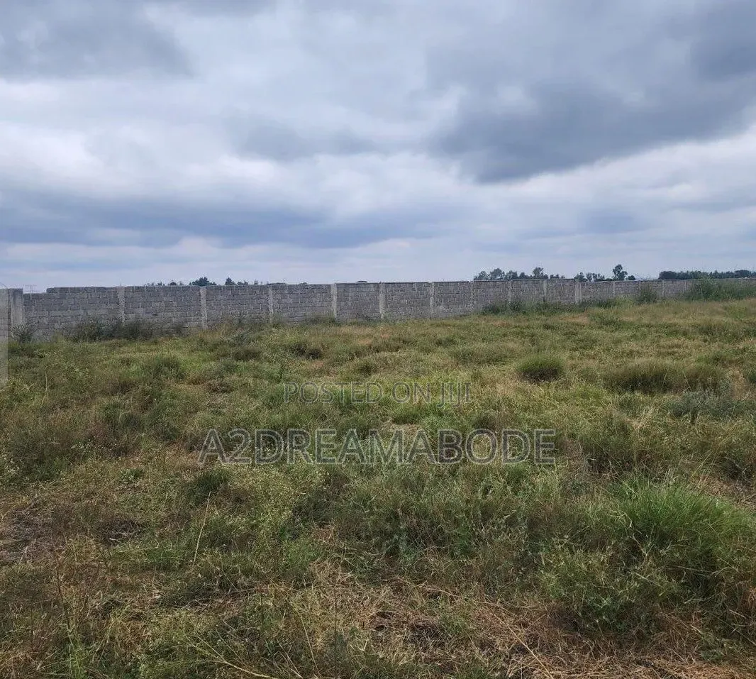 Nicely Situated Estate Land