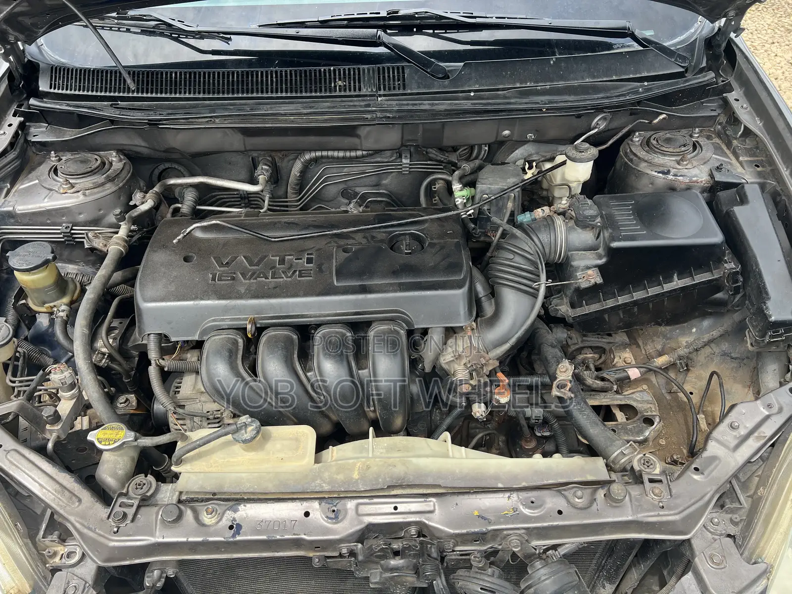 Toyota Matrix Hatchback AWD (1.8L 4cyl 4A) 2005 Gray
