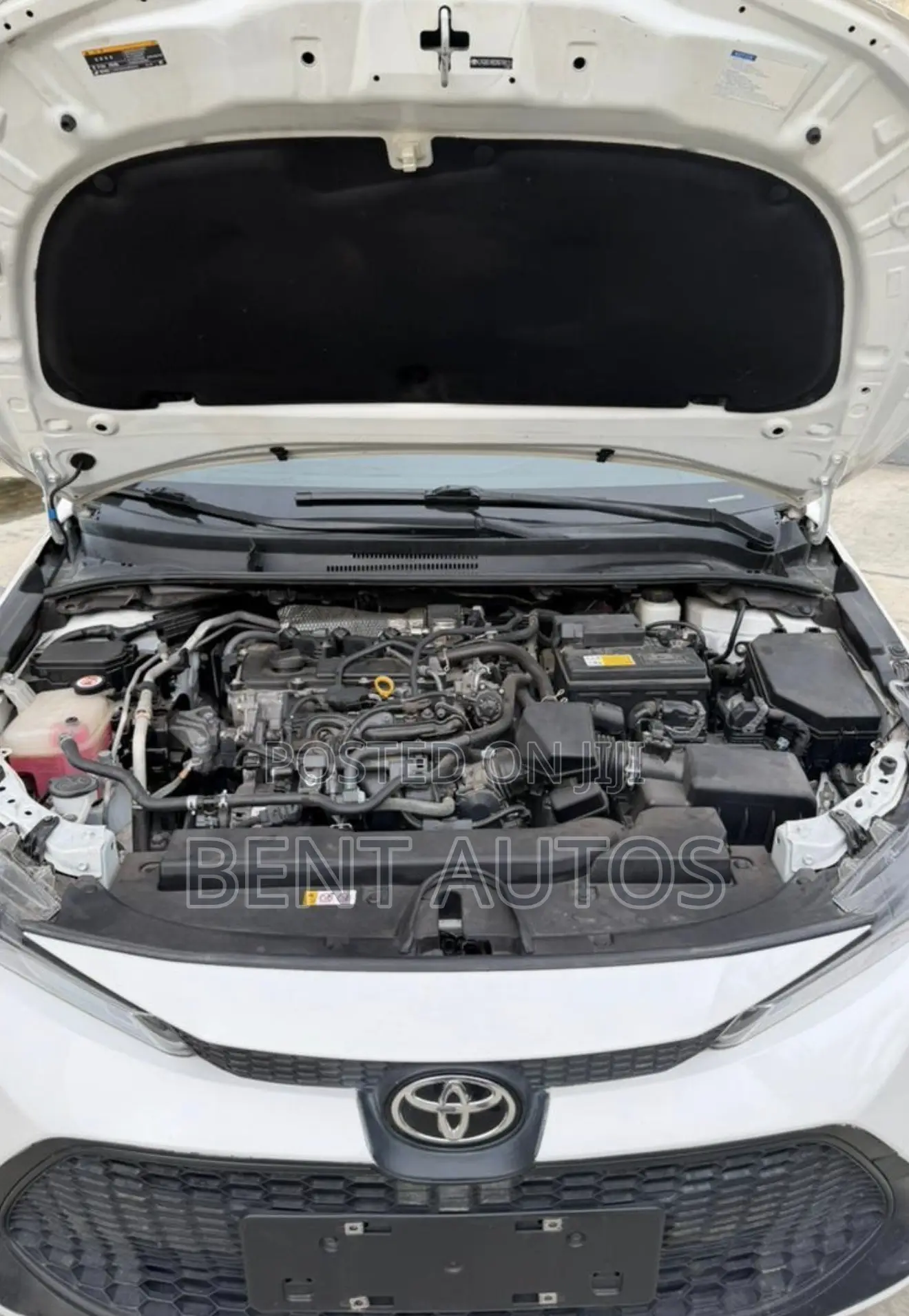 Toyota Corolla LE 2022 White
