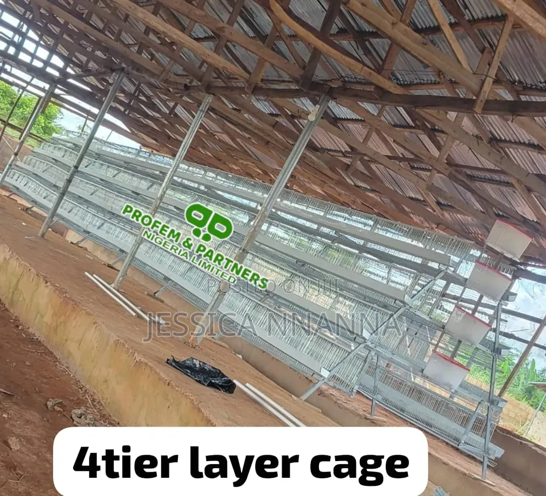 Imported 4 Tiers Deluxe Cage
