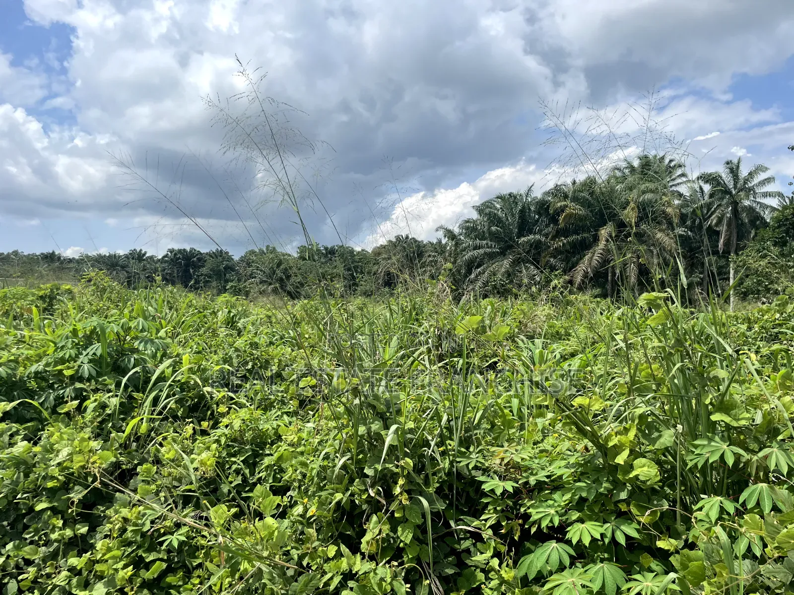 1 Hectare of Land, in a Strategic Location