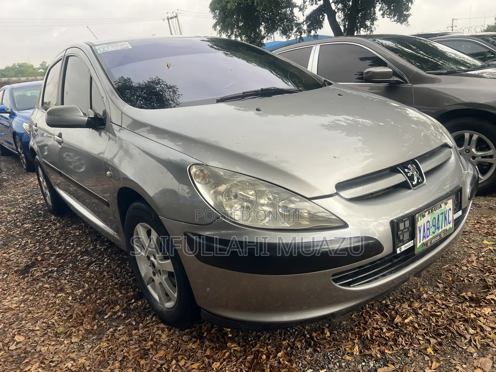 Peugeot 307 2007 Gray