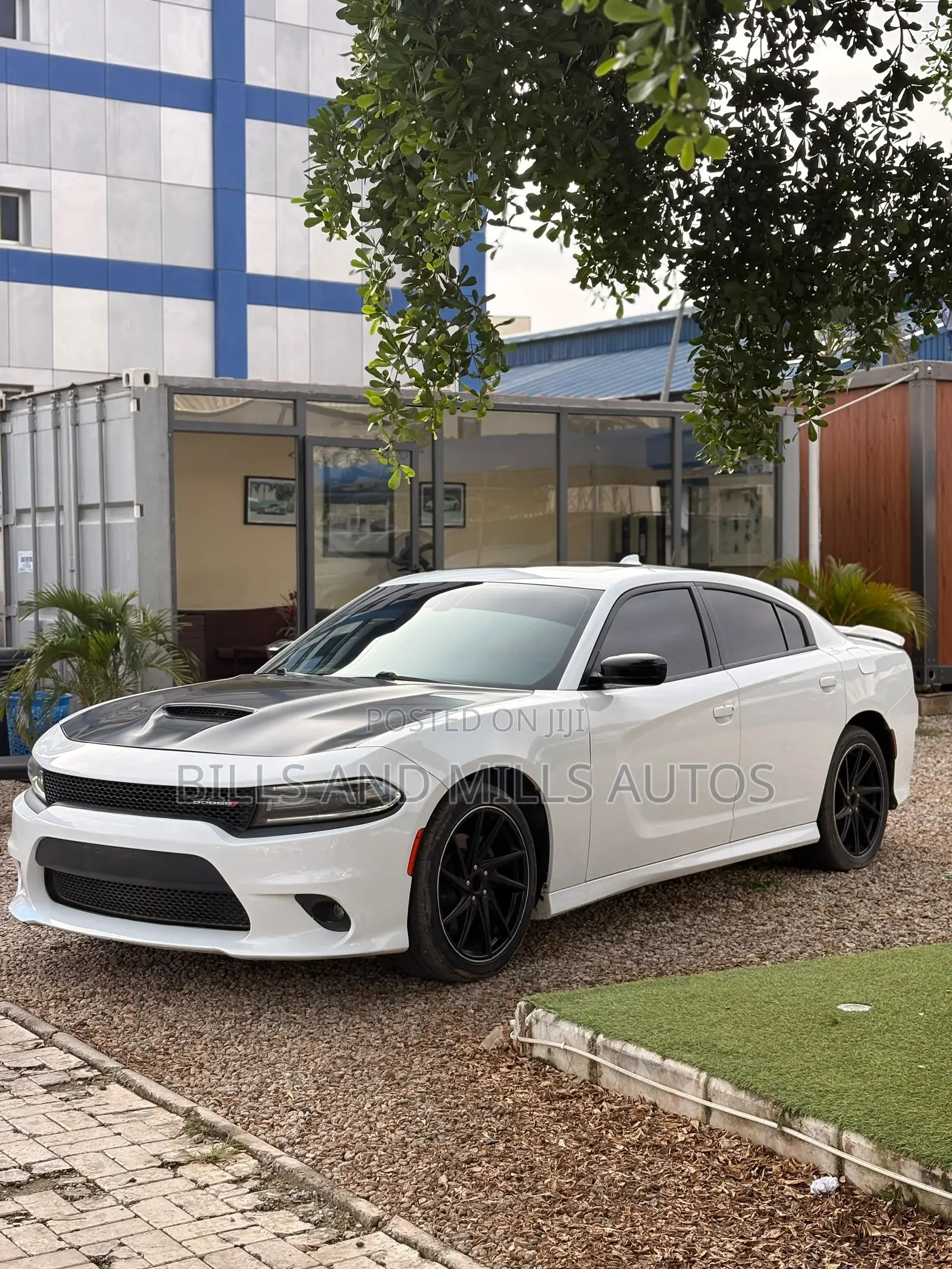 Dodge Charger 2020 White