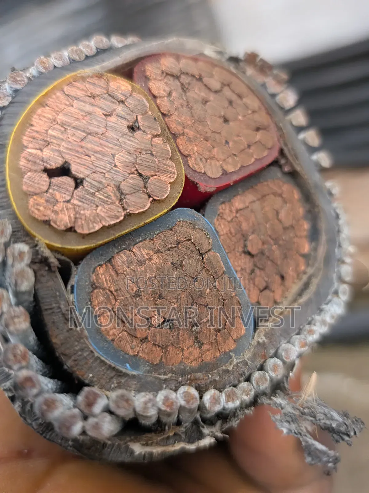 Armored Cable