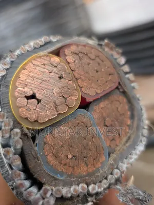 Armored Cable 4core Niger Chin