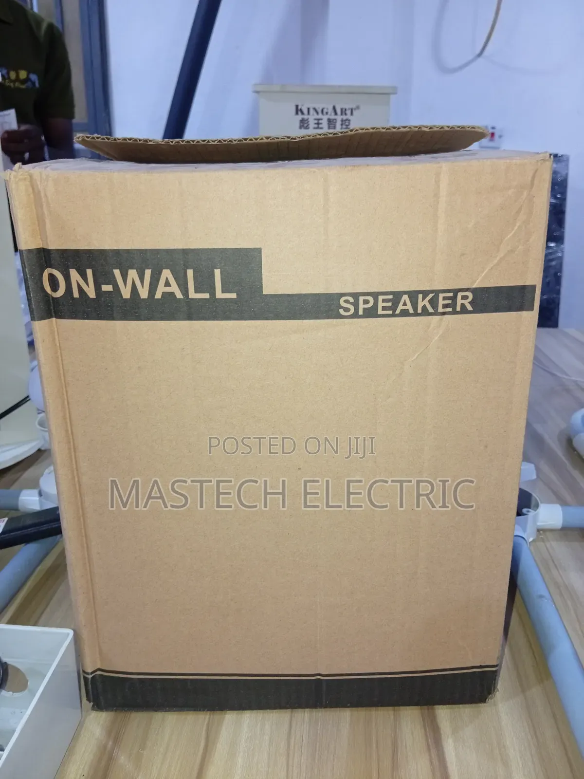 Indoor Wall Speaker