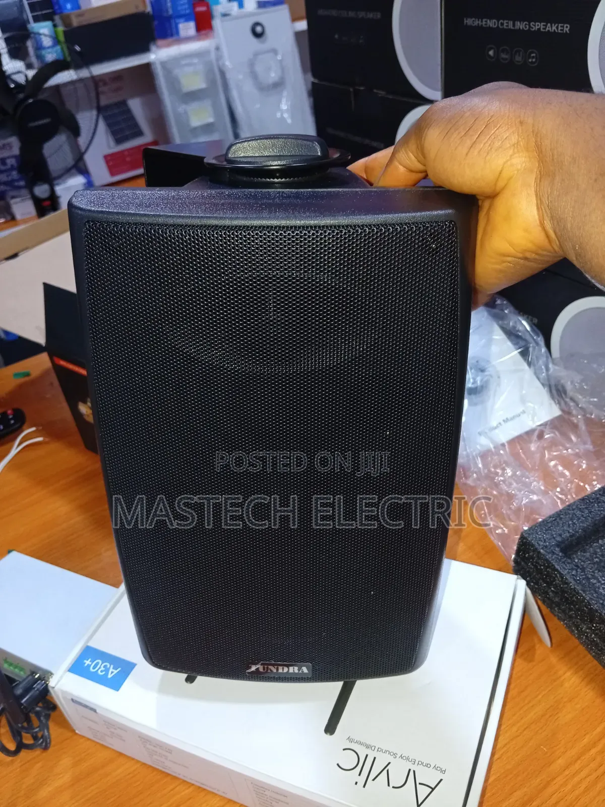 Indoor Wall Speaker