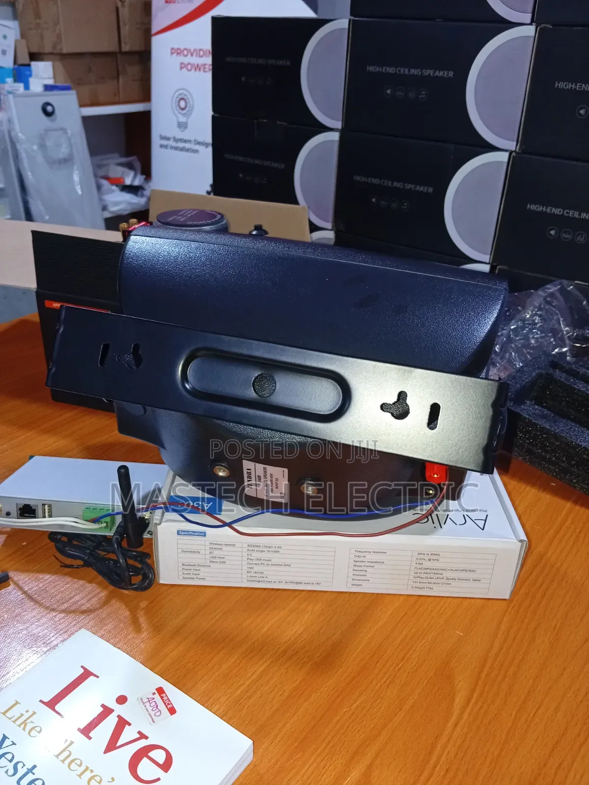 Indoor Wall Speaker