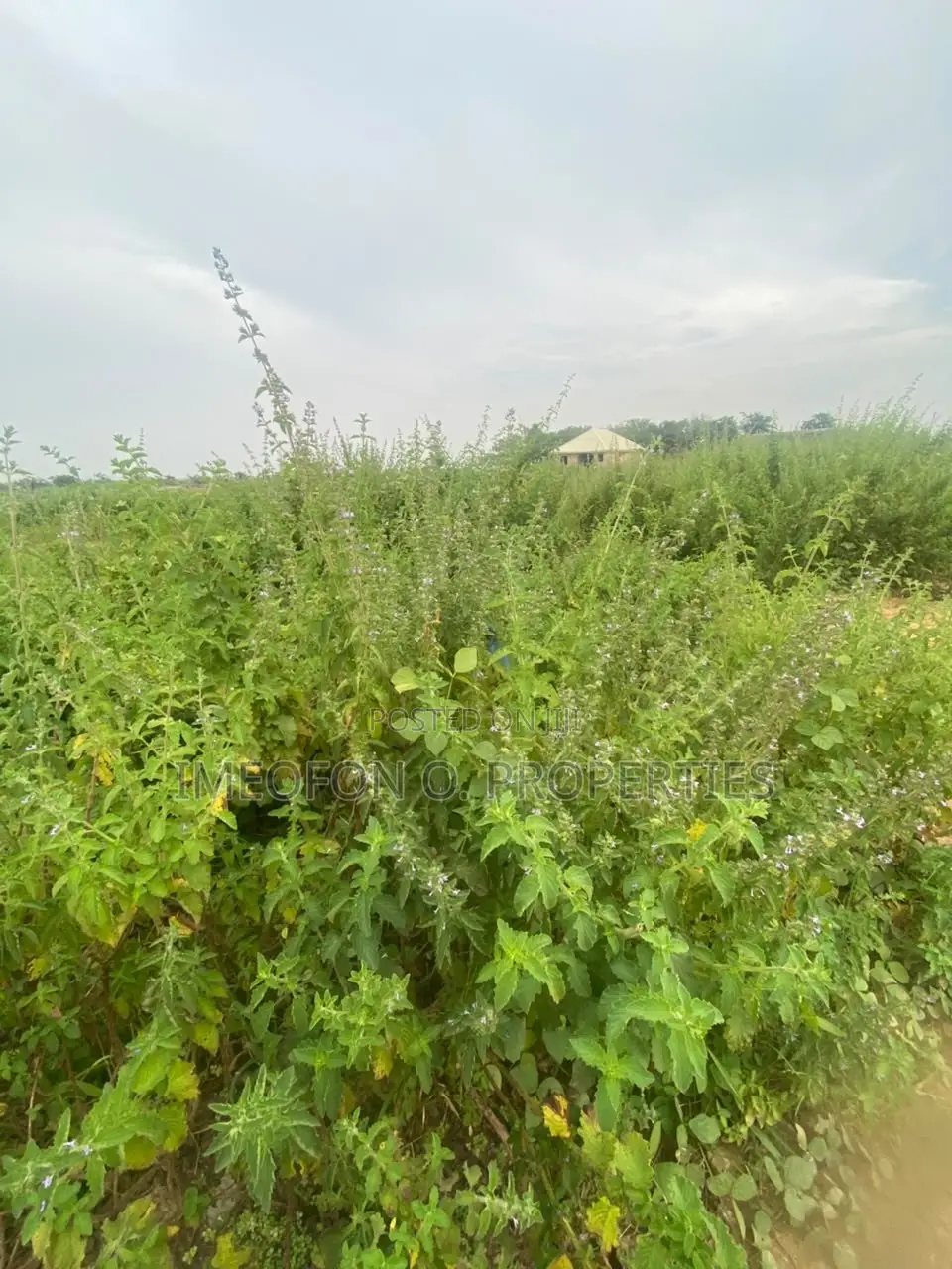 Land for Sale at Maitama Main Table and Fence Plot.