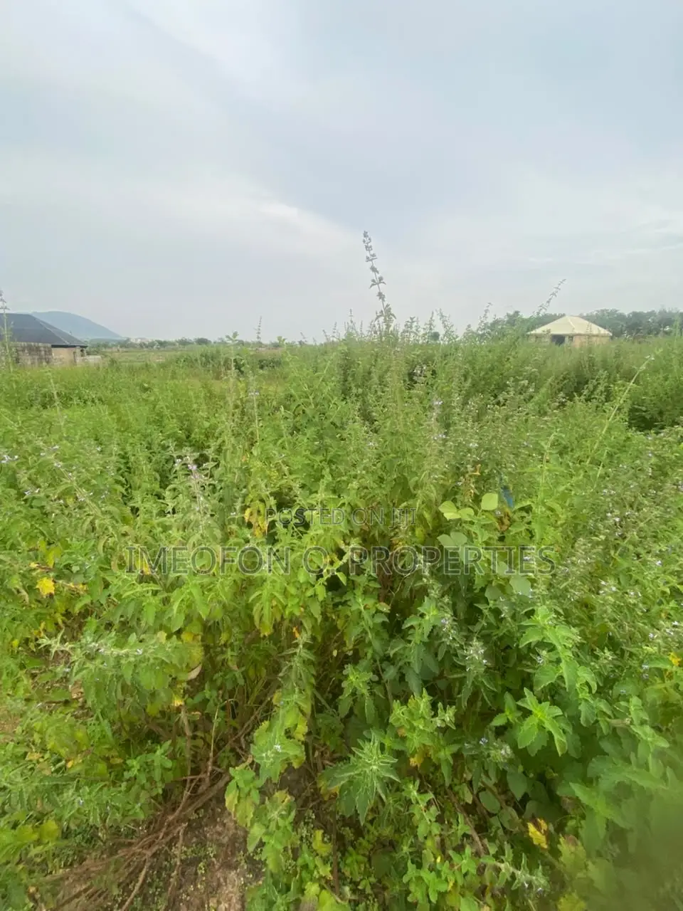 Land for Sale at Maitama Main Table and Fence Plot.