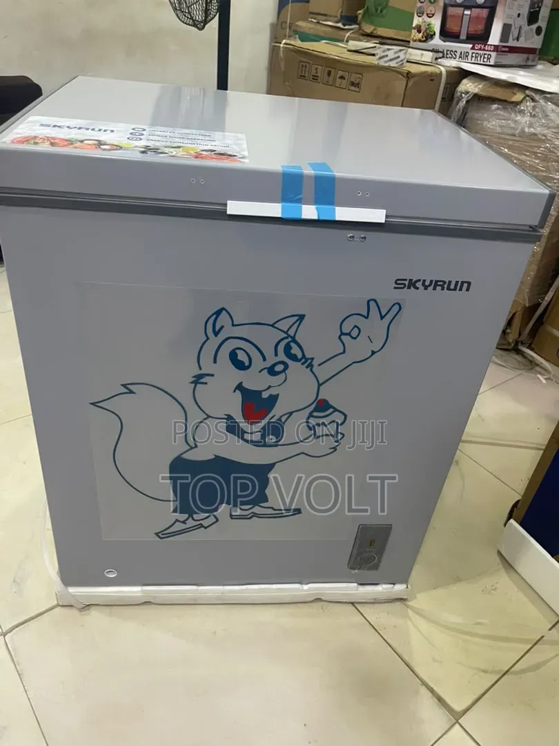 Skyrun 180L Inverter Freezer for Shops