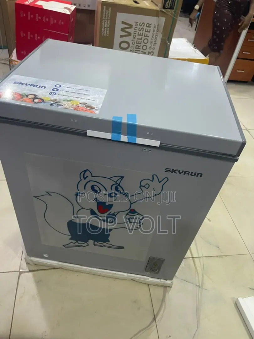 Skyrun 180L Inverter Freezer for Restaurants
