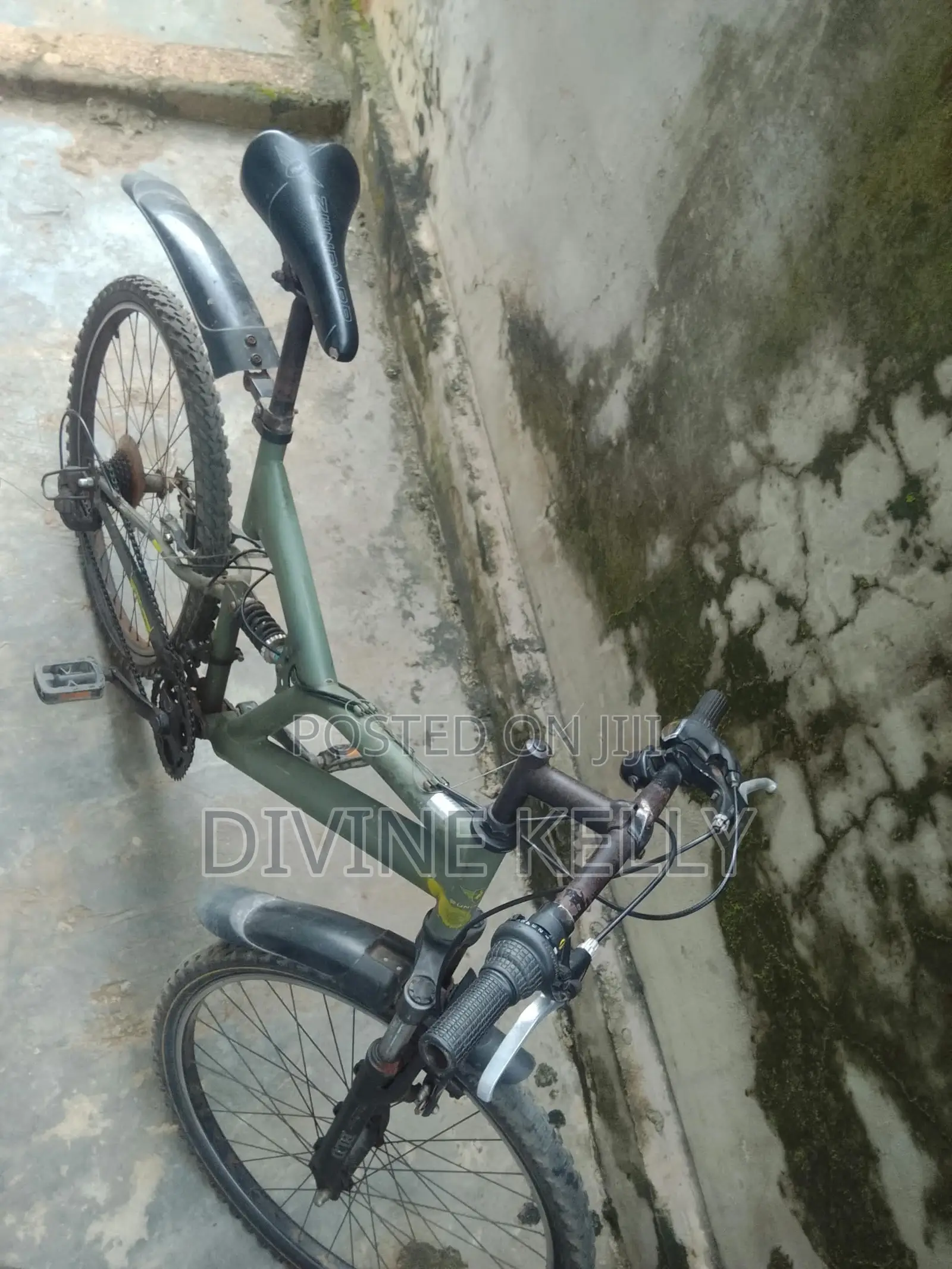 Bicycle Mobility