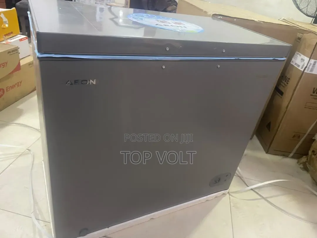 Aeon 200L Freezer for Frozen Foods
