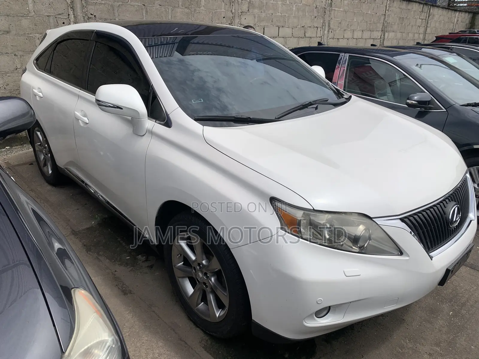 Lexus RX 2010 White