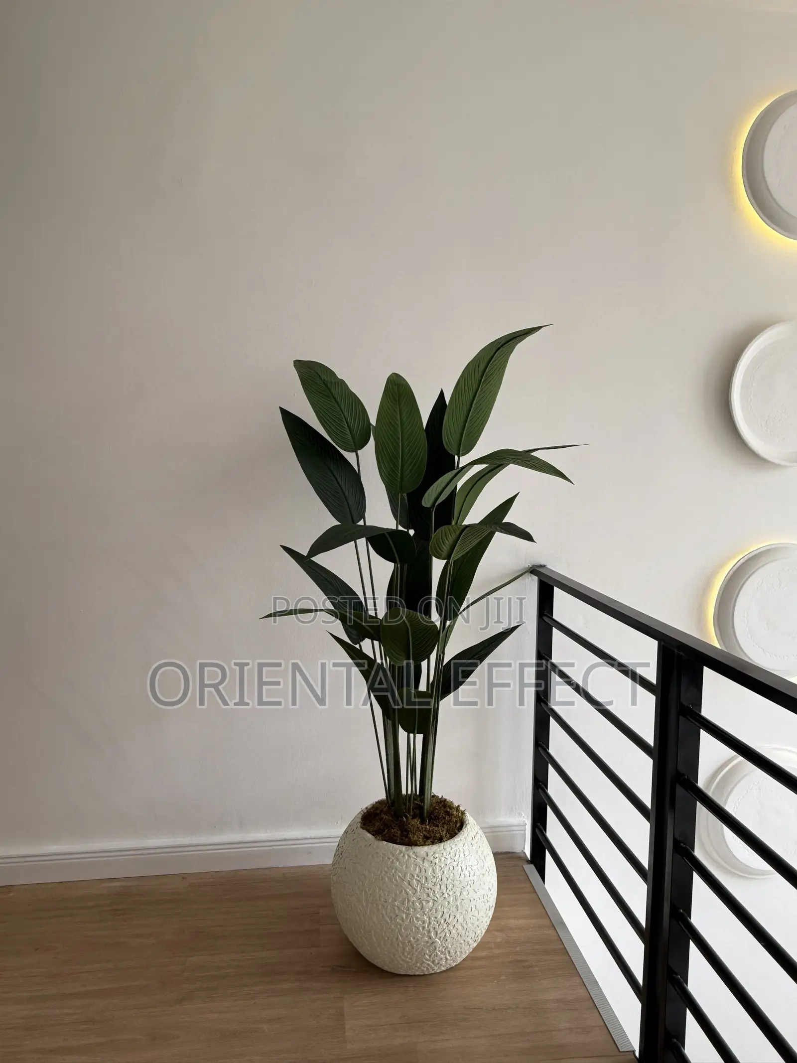 Textured Pale Big Orbis Pot With Artificial Traveller Palm | Nigeria