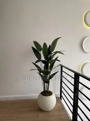 Textured Pale Big Orbis Pot With Artificial Traveller Palm | Nigeria