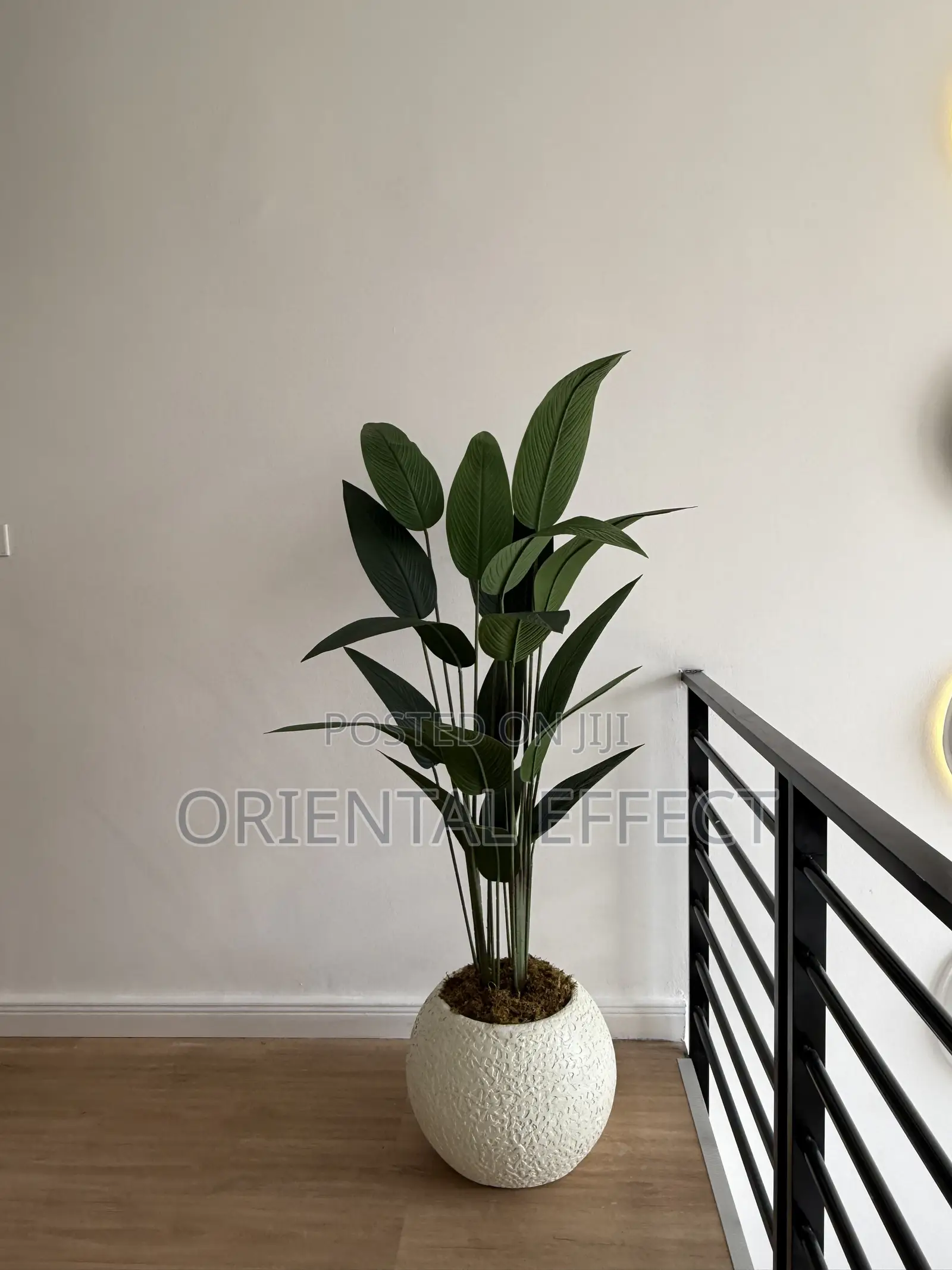 Textured Pale Big Orbis Pot With Artificial Traveller Palm | Nigeria