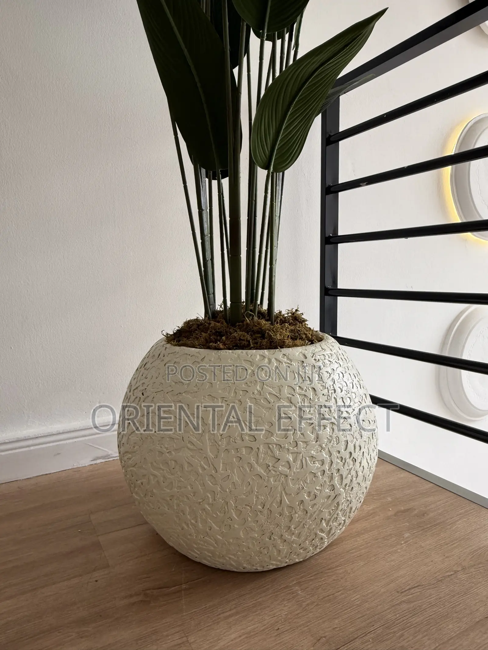 Textured Pale Big Orbis Pot With Artificial Traveller Palm | Nigeria