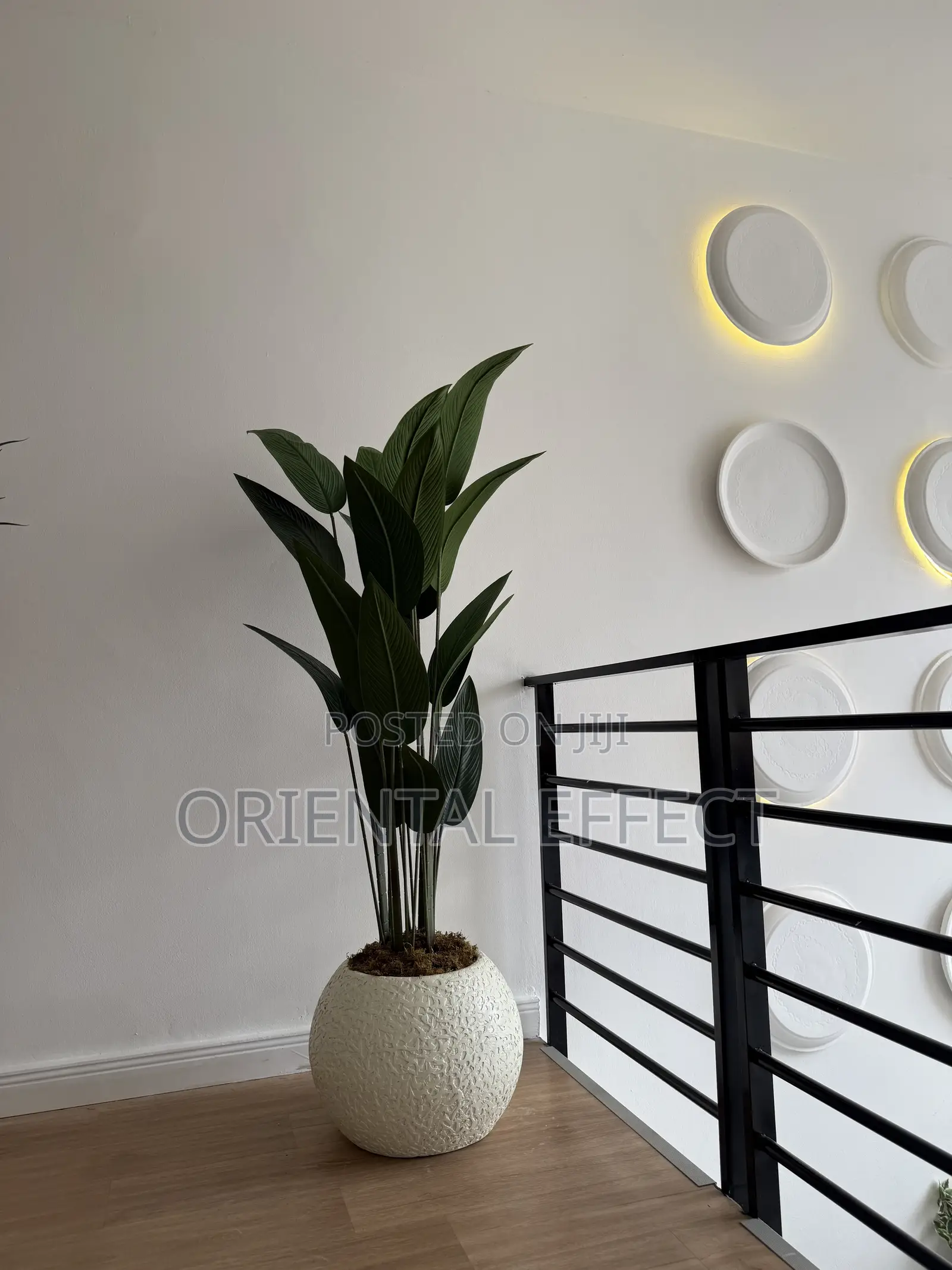 Textured Pale Big Orbis Pot With Artificial Traveller Palm | Nigeria