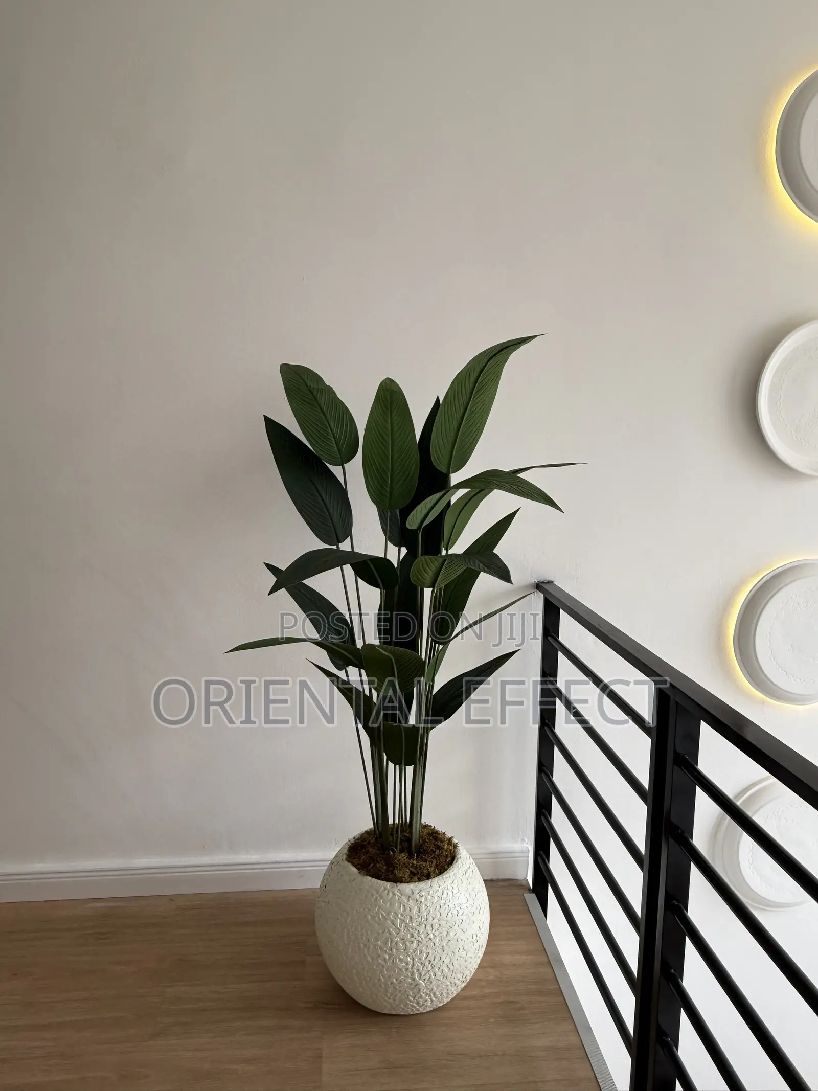 Textured Pale Big Orbis Pot With Artificial Traveller Palm | Nigeria