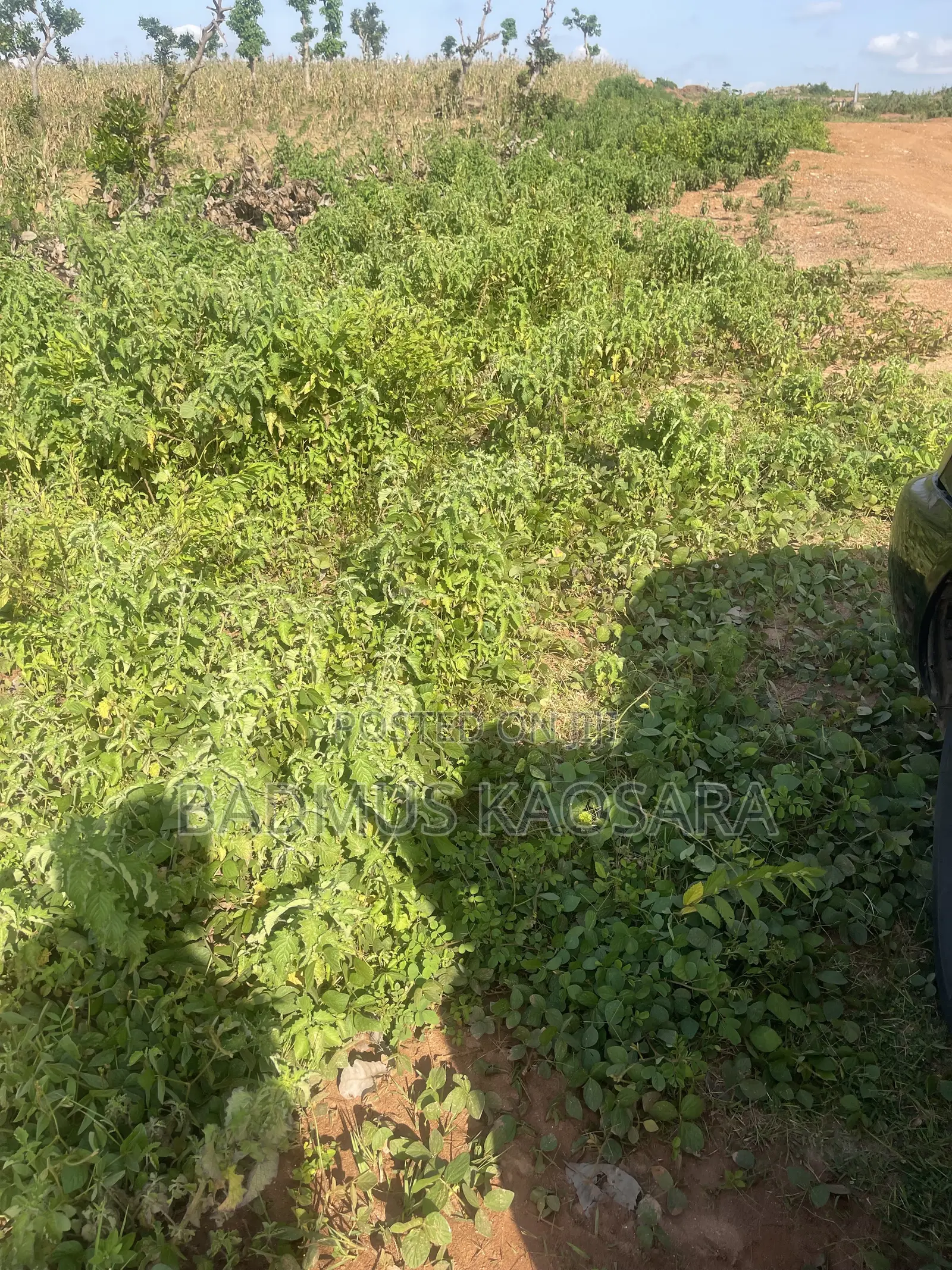 350SQM Est Land Ideal for 4 Bedroom Semi-Detached Penthouse With CofO