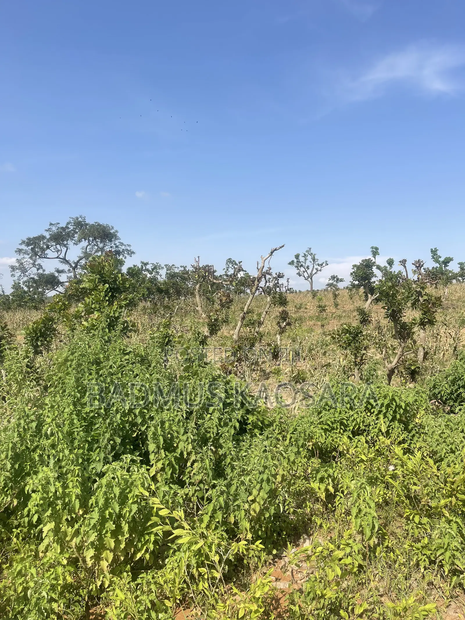 350SQM Est Land Ideal for 4 Bedroom Semi-Detached Penthouse With CofO