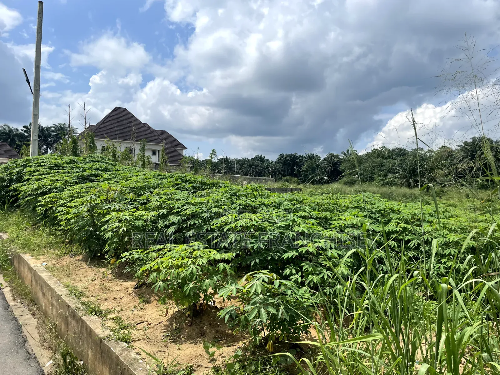 1 Hectare of Land, in a Strategic Location