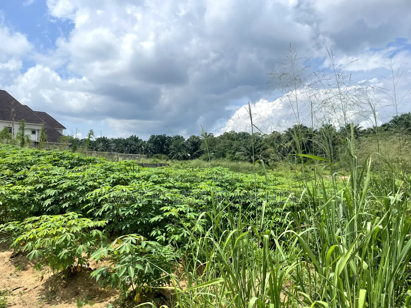 1 Hectare of Land, in a Strategic Location