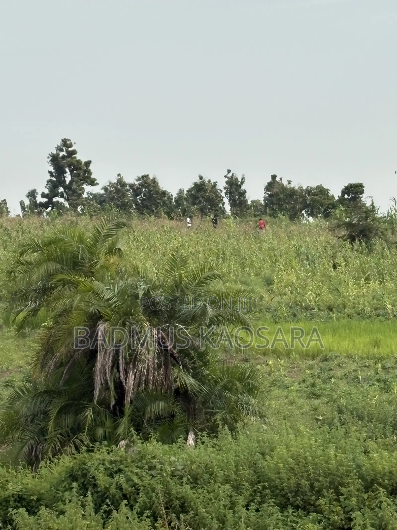 500SQM Estate Land Ideal for 5 Bedroom Detached Duplex With R of O