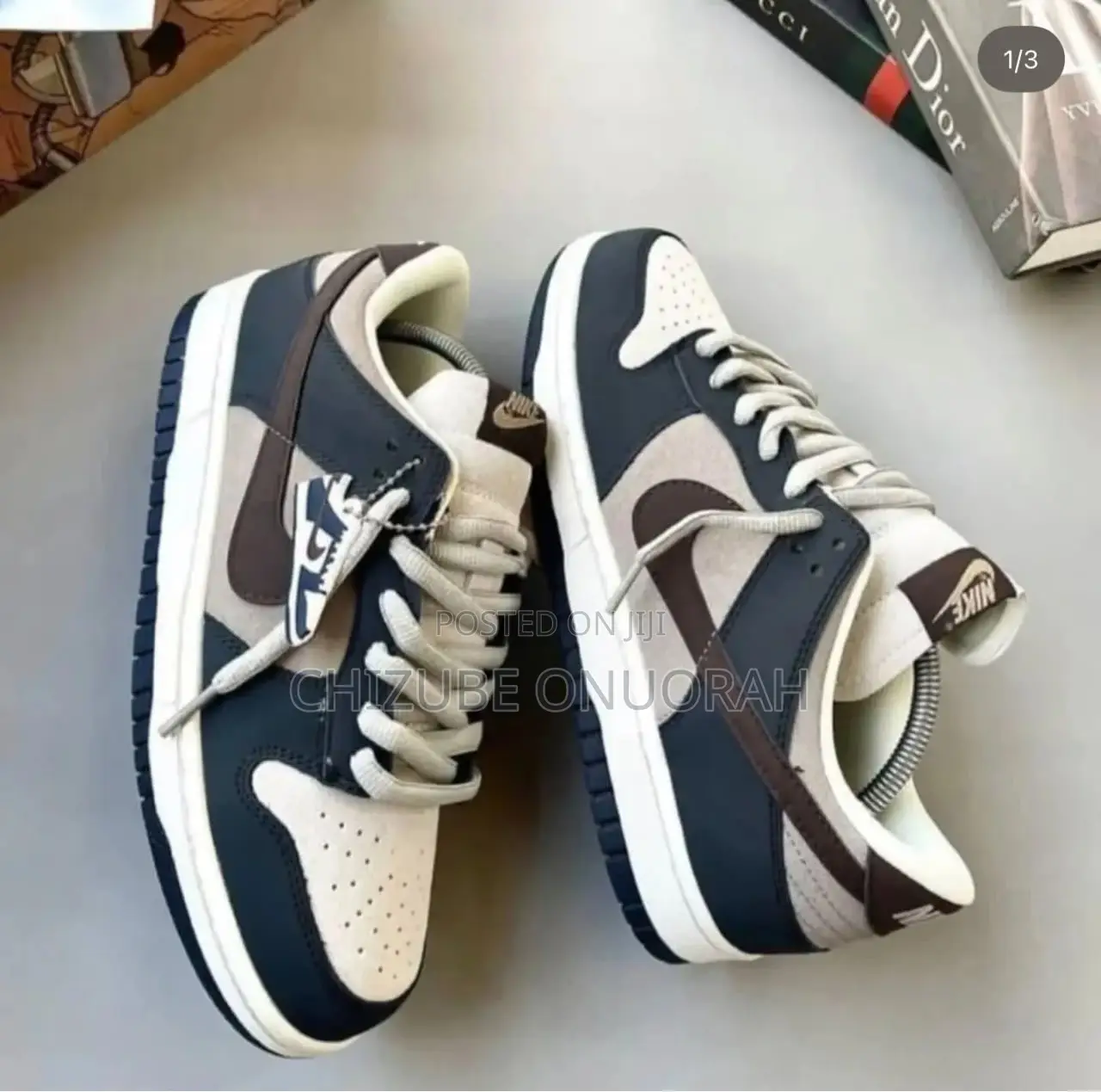 Nike SB Dunk Sneakers