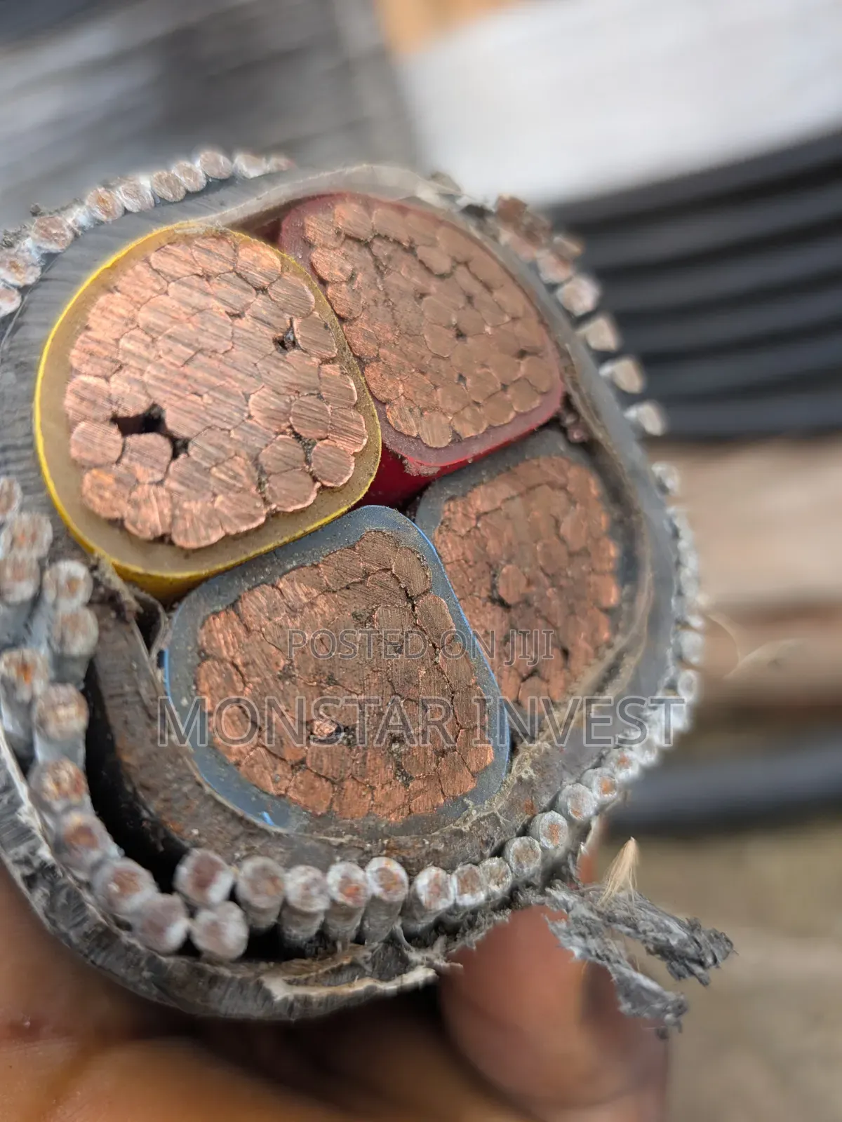Armored Cable Niger Chin