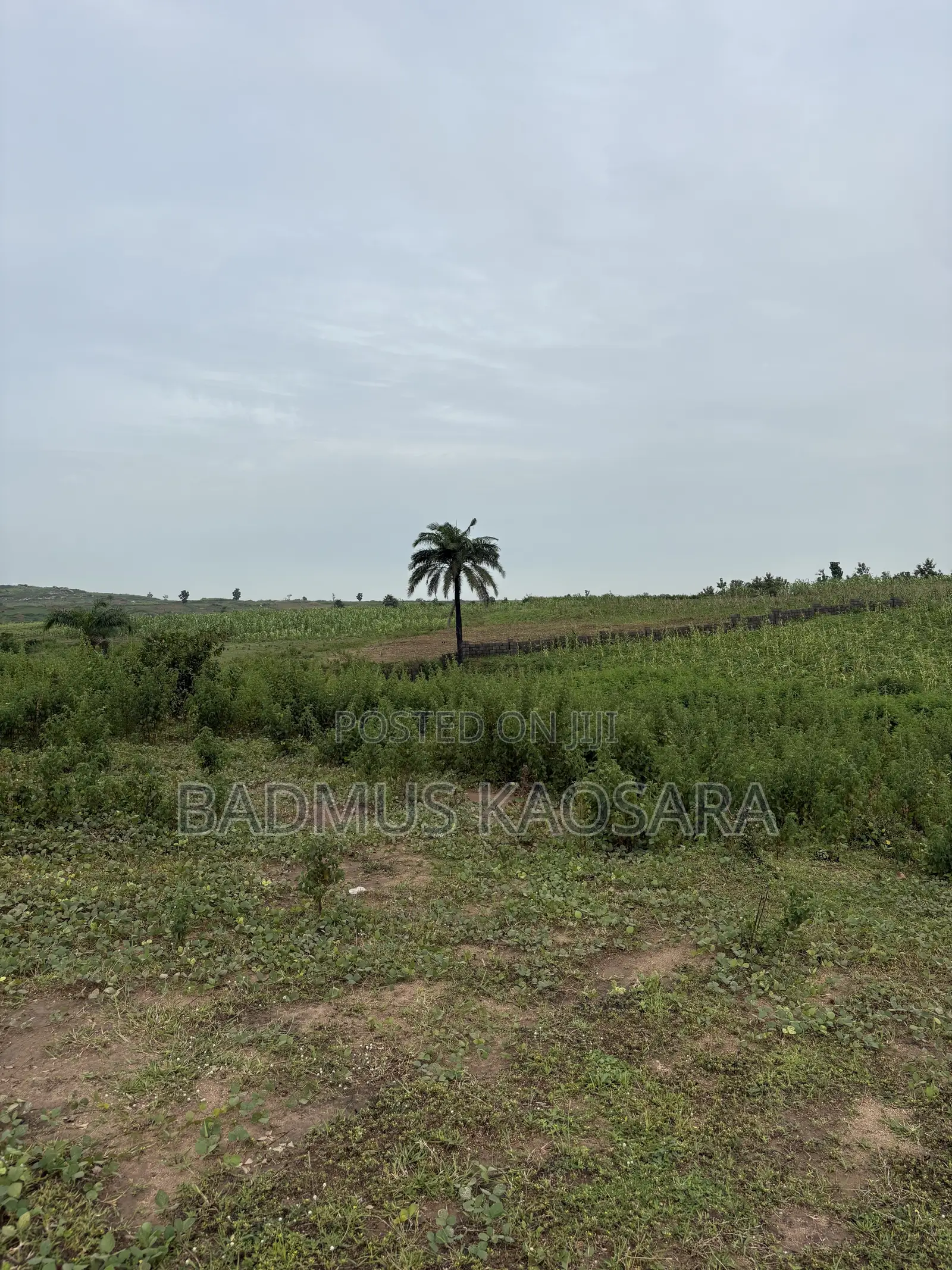 250SQM Estate Land Ideal for 4 Bedroom Terrace Duplex With R of O