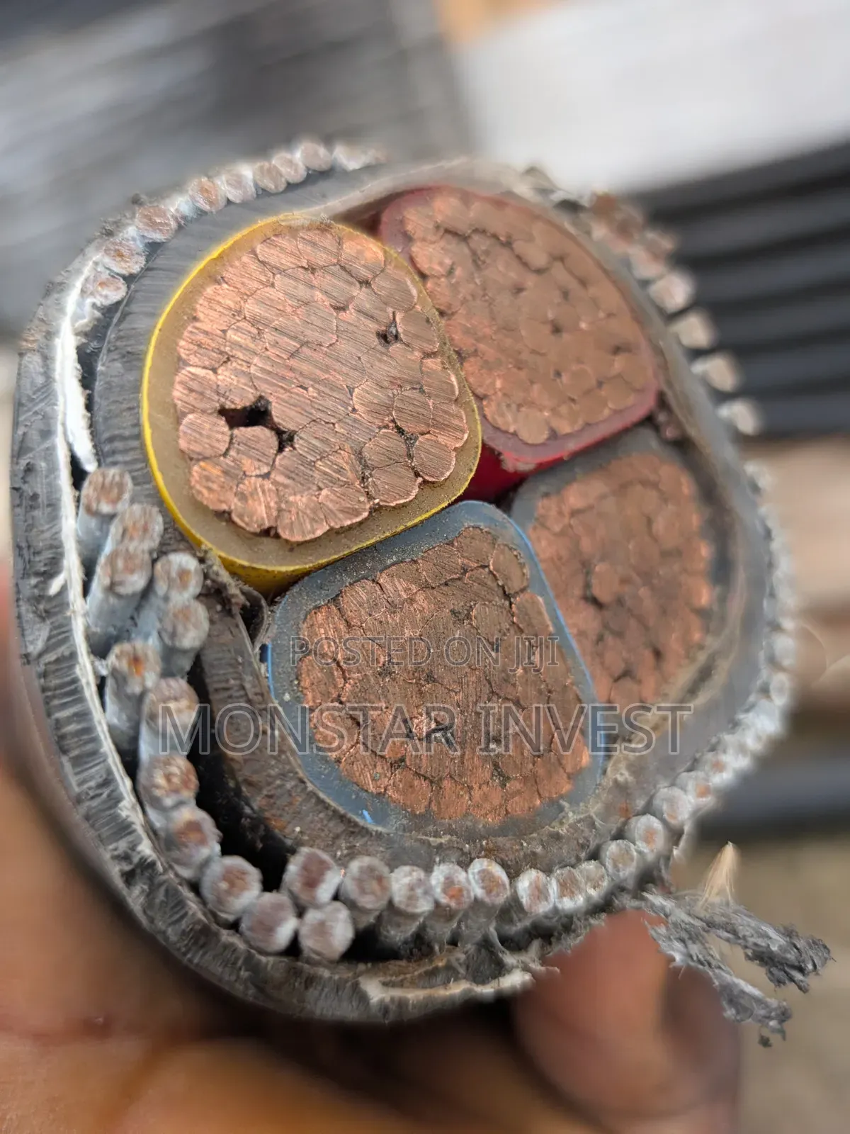 50mm Armored Cable Niger Chin
