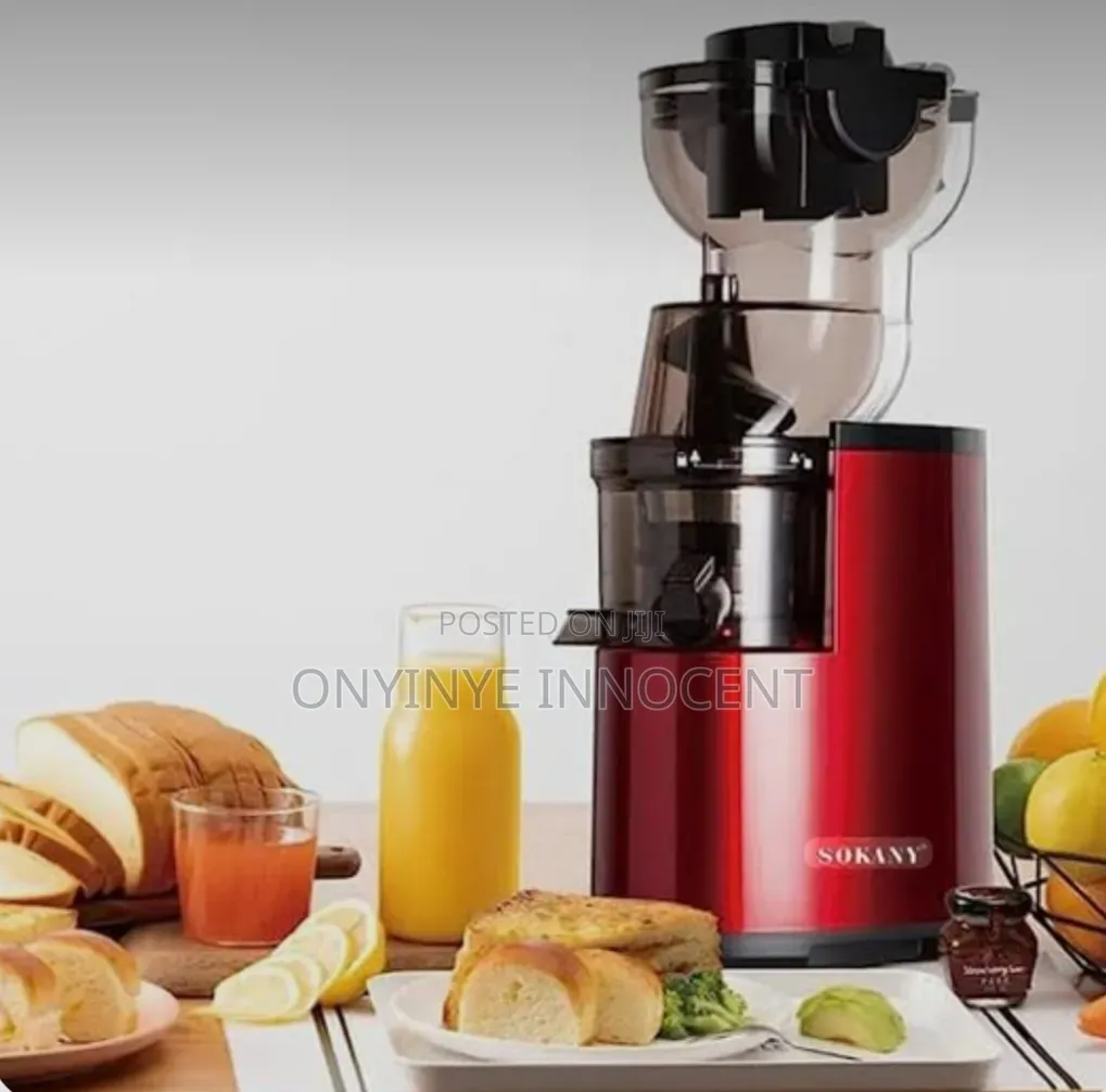 SOKANY Slow Juicer SK-01009