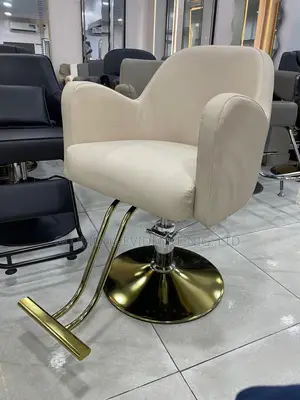 Unisex Salon Chair 864