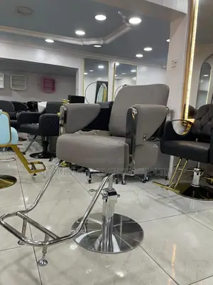 Unisex Salon Chair Wd2011