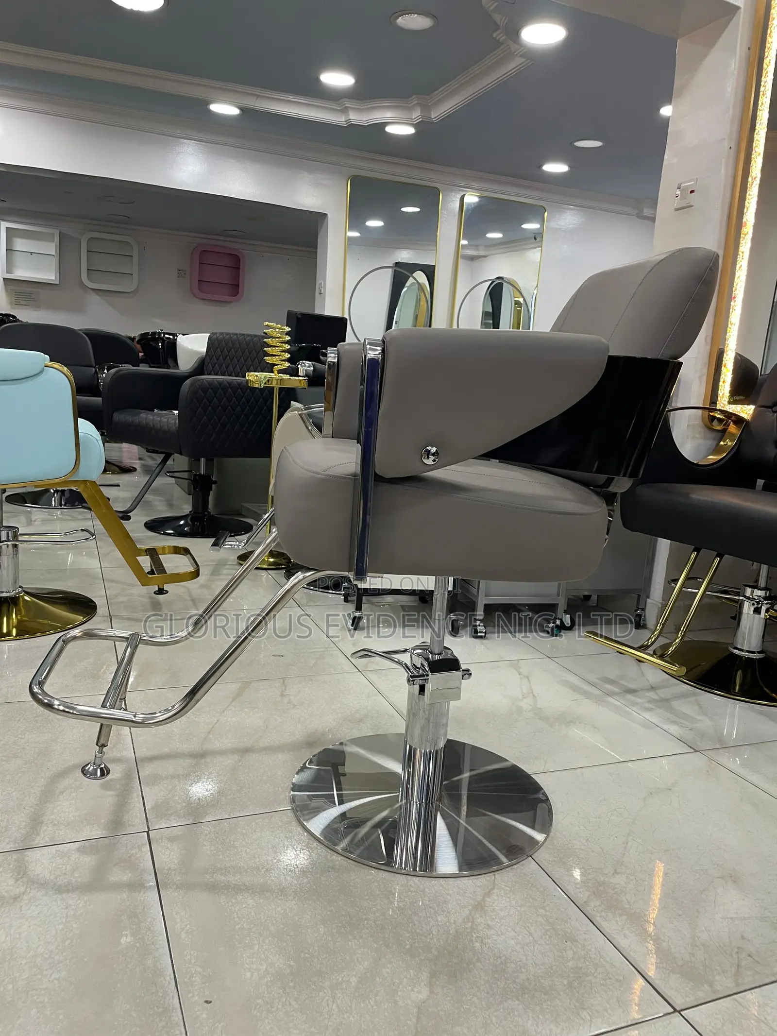 Unisex Salon Chair Wd2011
