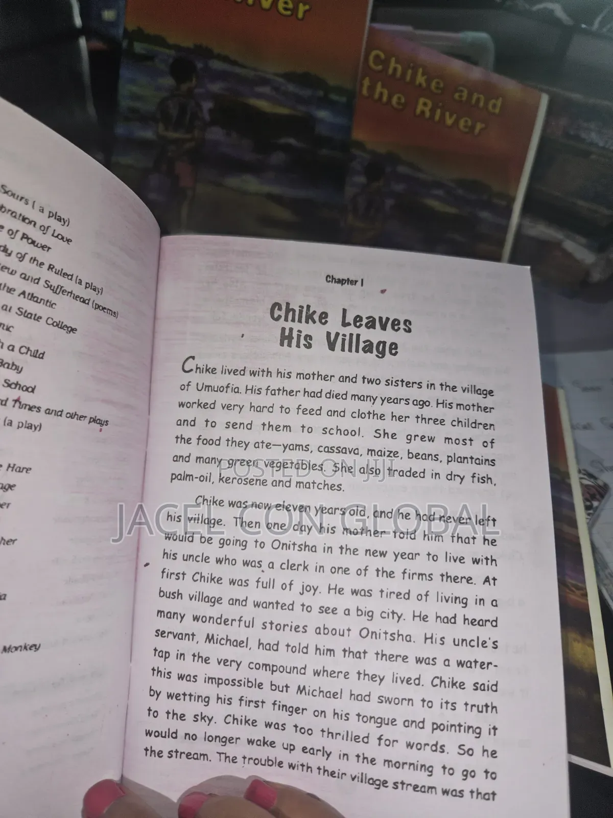 Chike and the River [ Novel Book ]